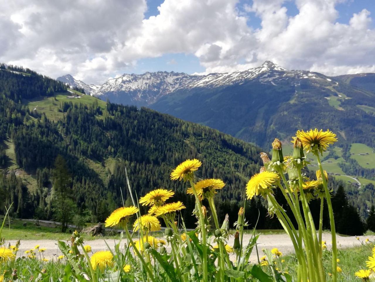 Pension Edelweiss Breitenbach am Inn Εξωτερικό φωτογραφία